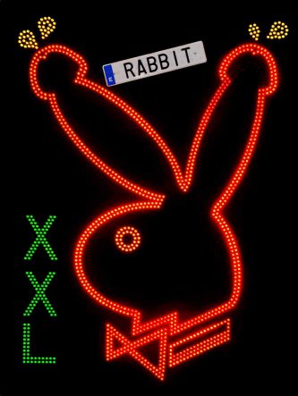 Rabbit XXL*